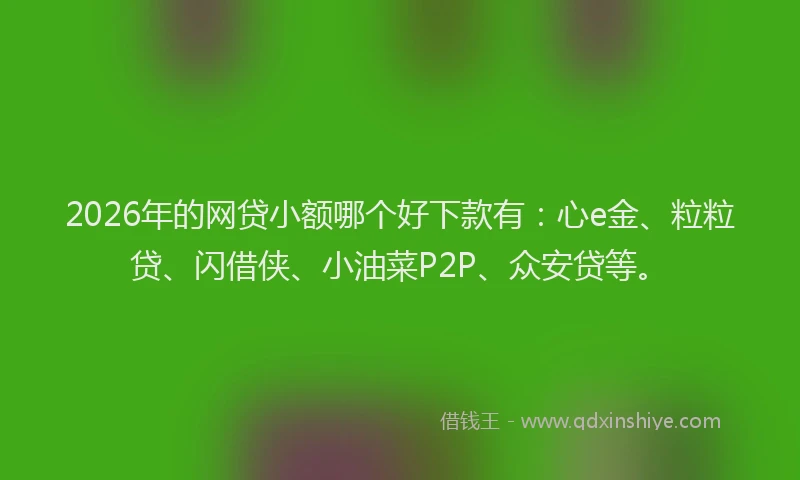 2026年的网贷小额哪个好下款有：心e金、粒粒贷、闪借侠、小油菜P2P、众安贷等。