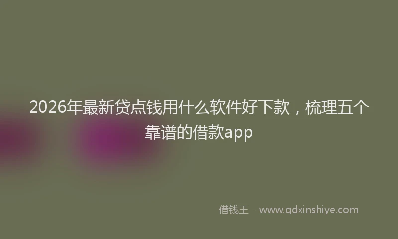 2026年最新贷点钱用什么软件好下款，梳理五个靠谱的借款app