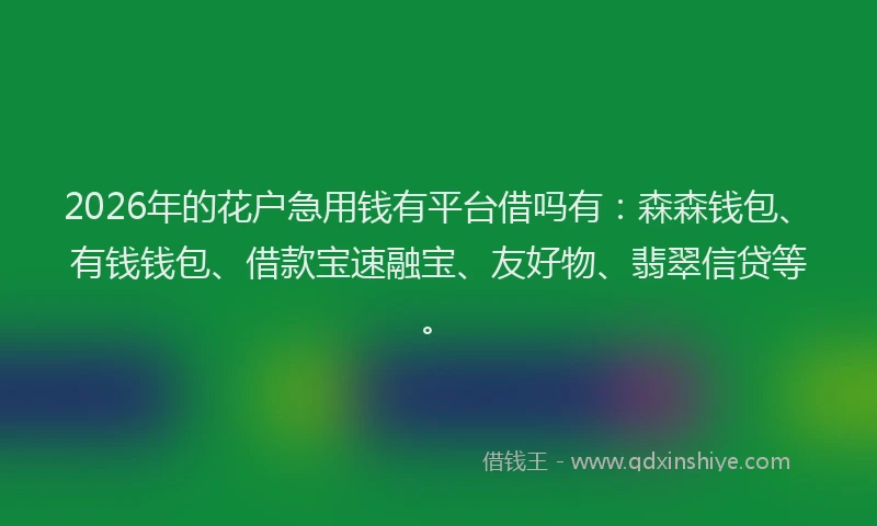 2026年的花户急用钱有平台借吗有：森森钱包、有钱钱包、借款宝速融宝、友好物、翡翠信贷等。