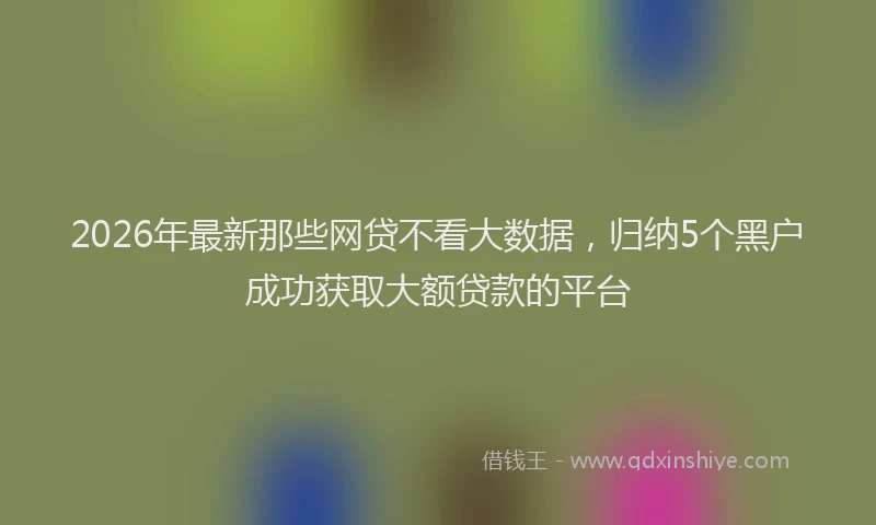 2026年最新那些网贷不看大数据，归纳5个黑户成功获取大额贷款的平台