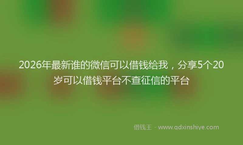 2026年最新谁的微信可以借钱给我，分享5个20岁可以借钱平台不查征信的平台