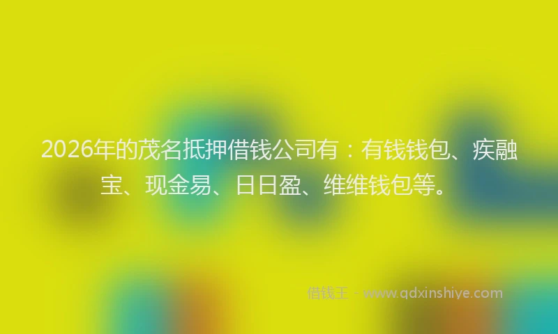 2026年的茂名抵押借钱公司有：有钱钱包、疾融宝、现金易、日日盈、维维钱包等。