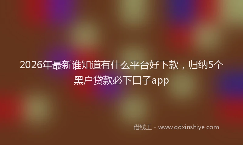 2026年最新谁知道有什么平台好下款，归纳5个黑户贷款必下口子app