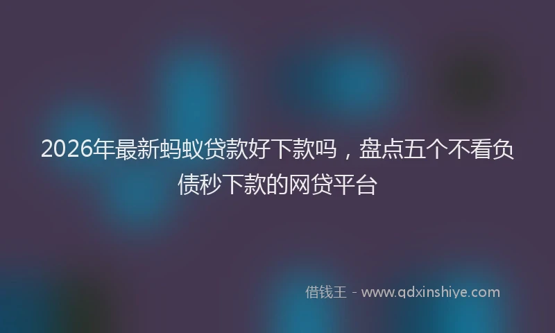 2026年最新蚂蚁贷款好下款吗，盘点五个不看负债秒下款的网贷平台