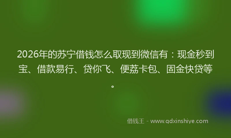 2026年的苏宁借钱怎么取现到微信有：现金秒到宝、借款易行、贷你飞、便荔卡包、固金快贷等。