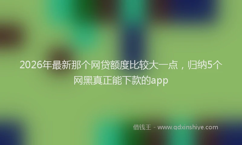 2026年最新那个网贷额度比较大一点，归纳5个网黑真正能下款的app
