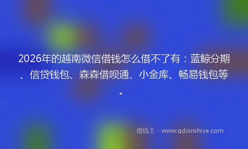 2026年的越南微信借钱怎么借不了有：蓝鲸分期、信贷钱包、森森借呗通、小金库、畅易钱包等。
