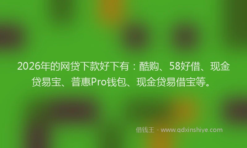 2026年的网贷下款好下有：酷购、58好借、现金贷易宝、普惠Pro钱包、现金贷易借宝等。