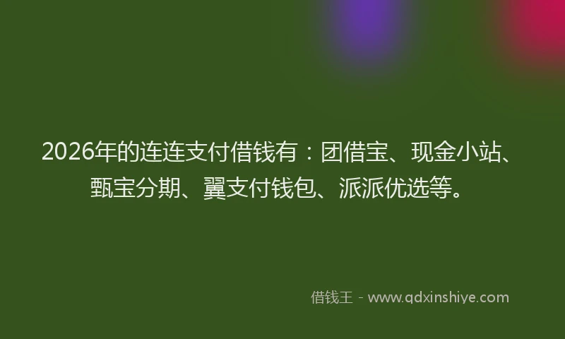 2026年的连连支付借钱有：团借宝、现金小站、甄宝分期、翼支付钱包、派派优选等。