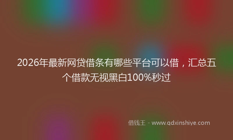 2026年最新网贷借条有哪些平台可以借，汇总五个借款无视黑白100%秒过