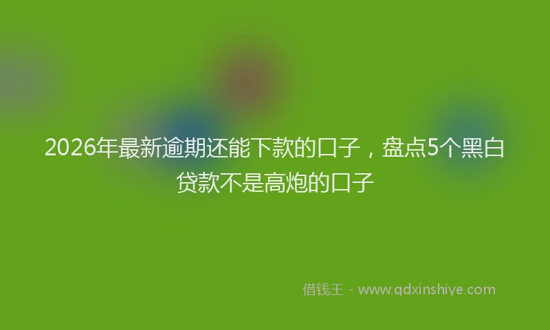 2026年最新逾期还能下款的口子，盘点5个黑白贷款不是高炮的口子