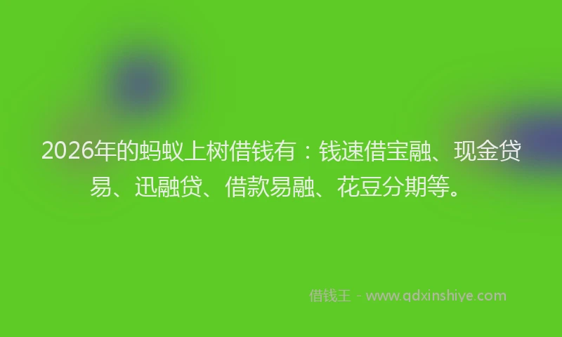 2026年的蚂蚁上树借钱有：钱速借宝融、现金贷易、迅融贷、借款易融、花豆分期等。