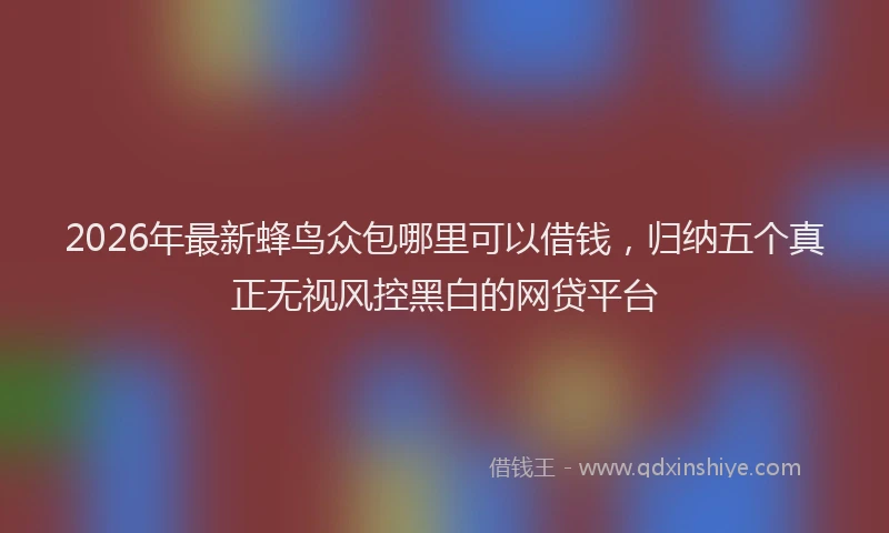 2026年最新蜂鸟众包哪里可以借钱，归纳五个真正无视风控黑白的网贷平台