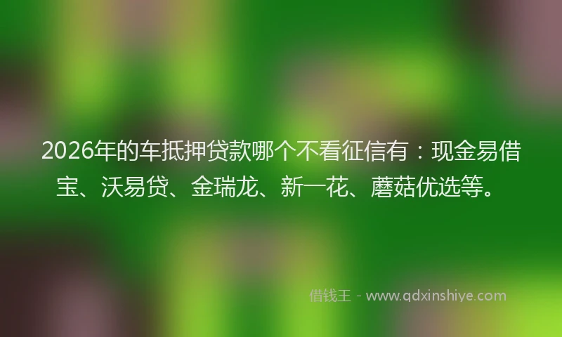2026年的车抵押贷款哪个不看征信有：现金易借宝、沃易贷、金瑞龙、新一花、蘑菇优选等。