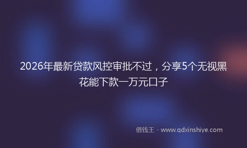 2026年最新贷款风控审批不过，分享5个无视黑花能下款一万元口子