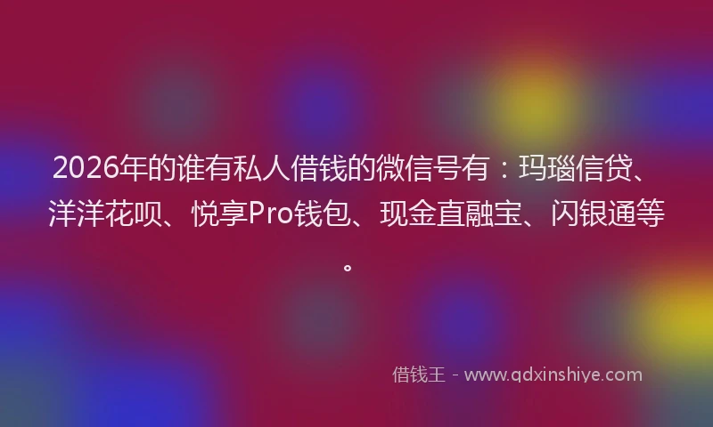 2026年的谁有私人借钱的微信号有：玛瑙信贷、洋洋花呗、悦享Pro钱包、现金直融宝、闪银通等。