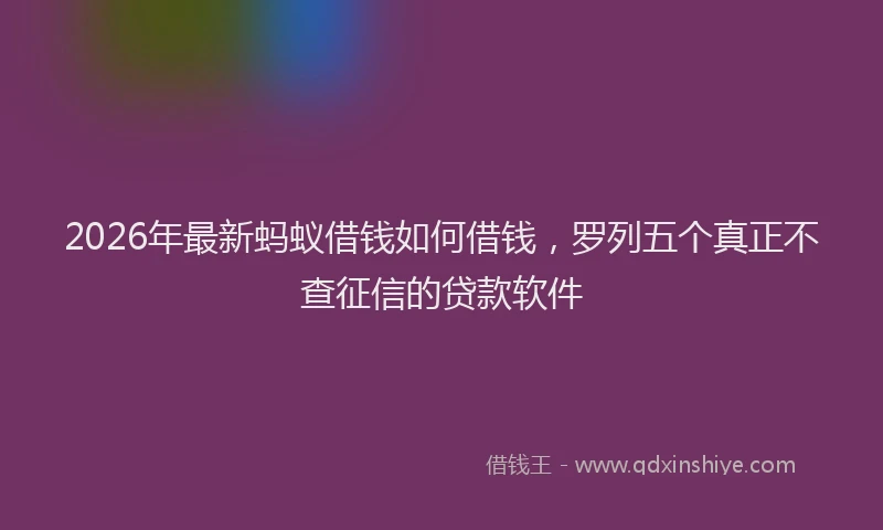 2026年最新蚂蚁借钱如何借钱，罗列五个真正不查征信的贷款软件