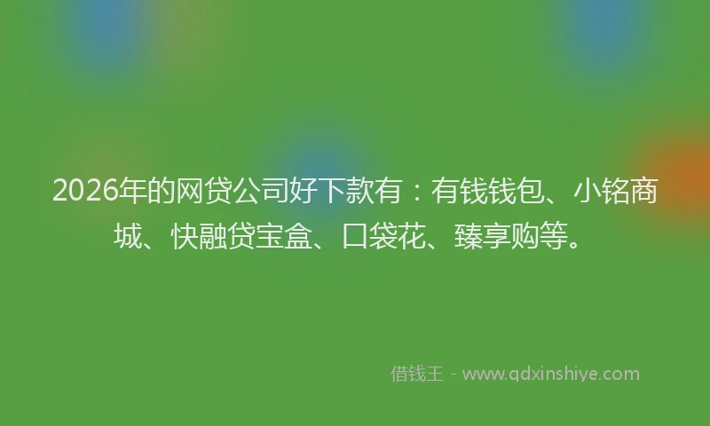 2026年的网贷公司好下款有：有钱钱包、小铭商城、快融贷宝盒、口袋花、臻享购等。