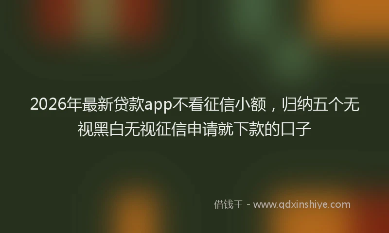 2026年最新贷款app不看征信小额，归纳五个无视黑白无视征信申请就下款的口子