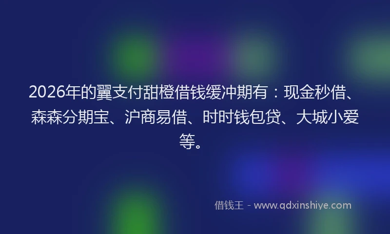 2026年的翼支付甜橙借钱缓冲期有：现金秒借、森森分期宝、沪商易借、时时钱包贷、大城小爱等。