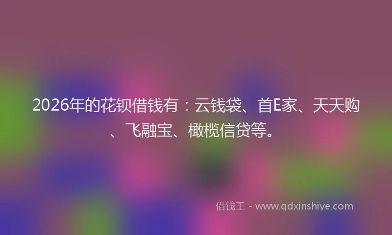 2026年的花钡借钱有：云钱袋、首E家、天天购、飞融宝、橄榄信贷等。