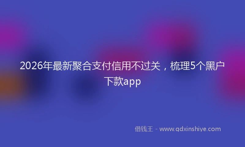 2026年最新聚合支付信用不过关，梳理5个黑户下款app