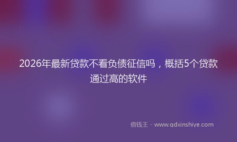 2026年最新贷款不看负债征信吗，概括5个贷款通过高的软件