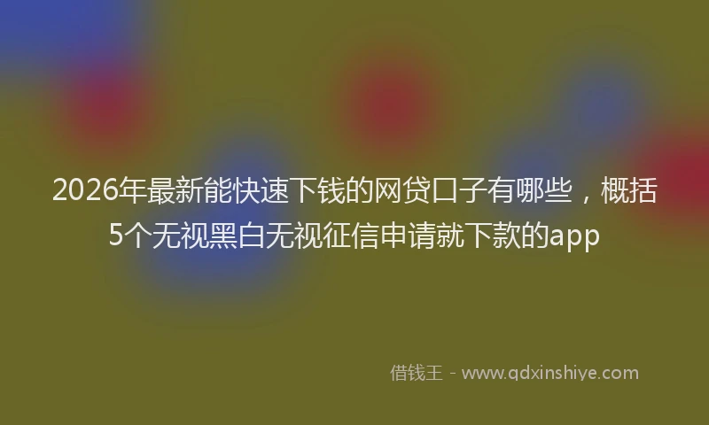 2026年最新能快速下钱的网贷口子有哪些，概括5个无视黑白无视征信申请就下款的app