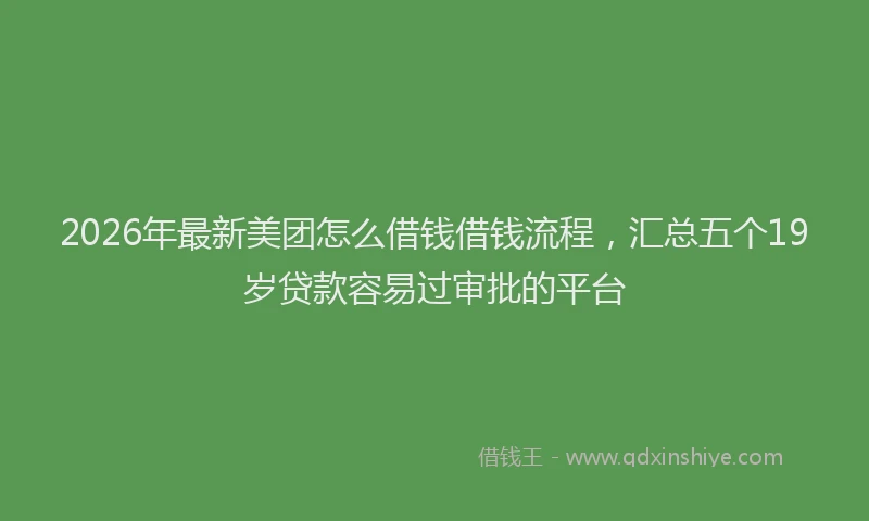 2026年最新美团怎么借钱借钱流程，汇总五个19岁贷款容易过审批的平台