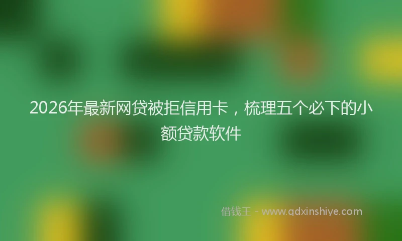 2026年最新网贷被拒信用卡，梳理五个必下的小额贷款软件