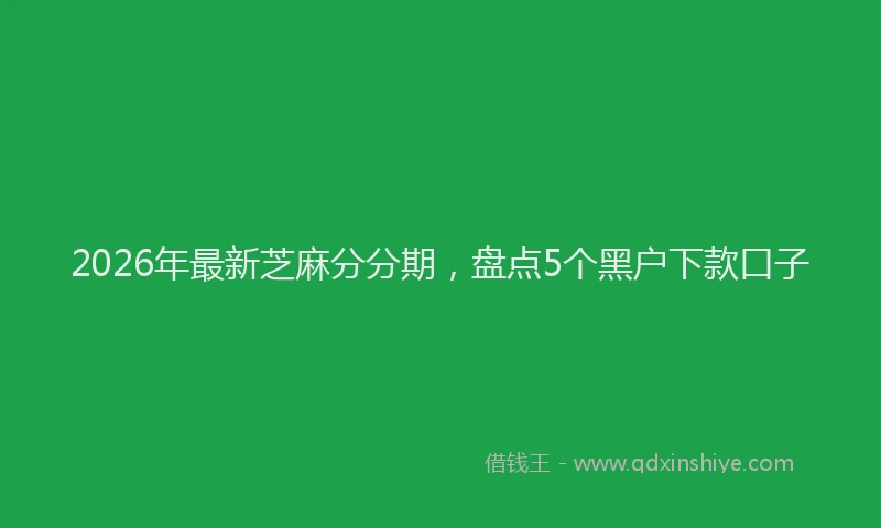 2026年最新芝麻分分期，盘点5个黑户下款口子