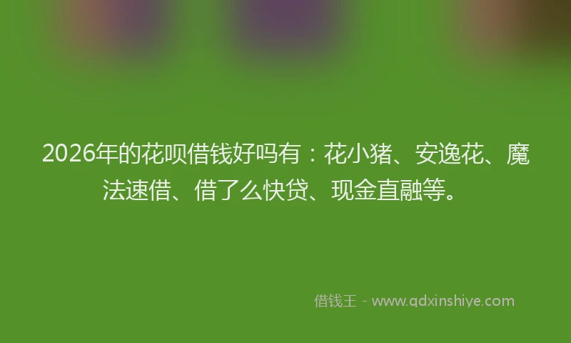 2026年的花呗借钱好吗有：花小猪、安逸花、魔法速借、借了么快贷、现金直融等。