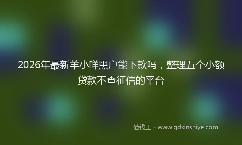 2026年最新羊小咩黑户能下款吗，整理五个小额贷款不查征信的平台