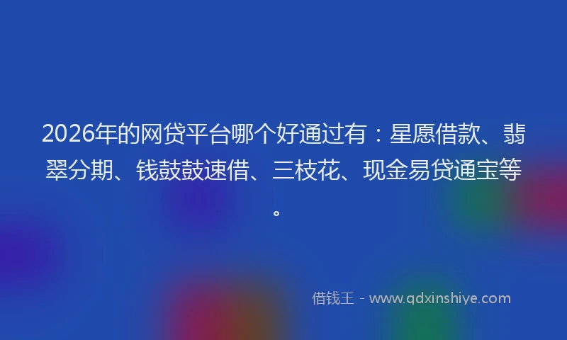 2026年的网贷平台哪个好通过有：星愿借款、翡翠分期、钱鼓鼓速借、三枝花、现金易贷通宝等。
