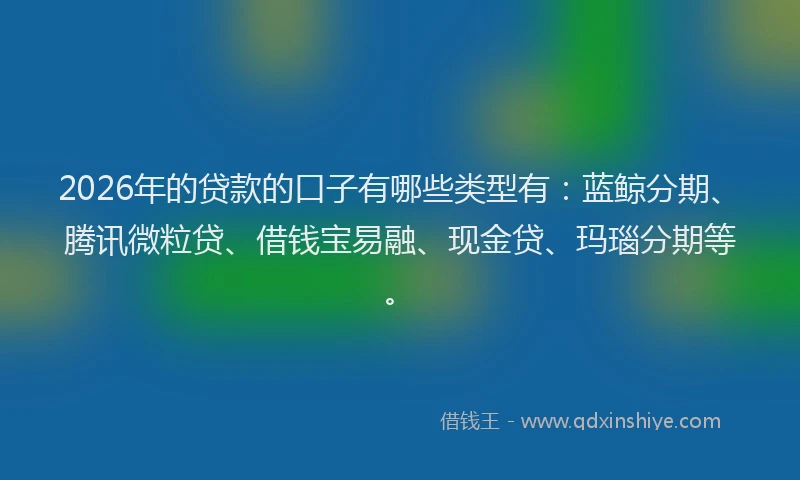 2026年的贷款的口子有哪些类型有：蓝鲸分期、腾讯微粒贷、借钱宝易融、现金贷、玛瑙分期等。