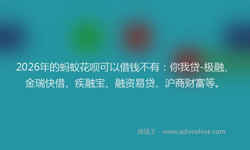 2026年的蚂蚁花呗可以借钱不有：你我贷-极融、金瑞快借、疾融宝、融资易贷、沪商财富等。