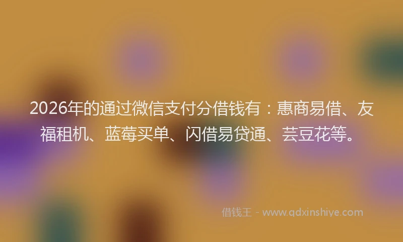2026年的通过微信支付分借钱有：惠商易借、友福租机、蓝莓买单、闪借易贷通、芸豆花等。