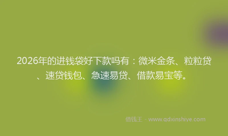 2026年的进钱袋好下款吗有：微米金条、粒粒贷、速贷钱包、急速易贷、借款易宝等。