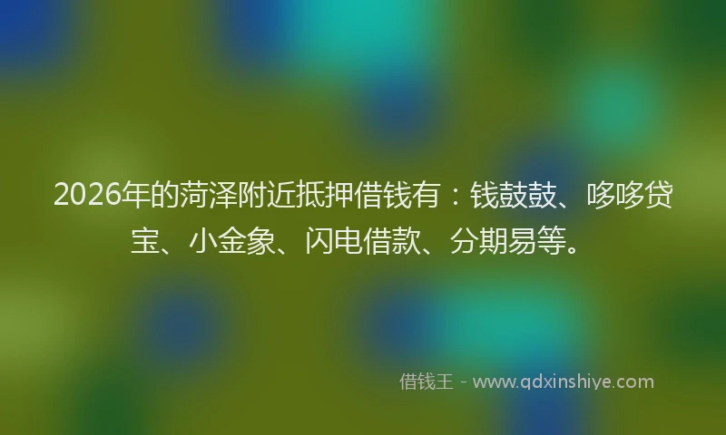 2026年的菏泽附近抵押借钱有：钱鼓鼓、哆哆贷宝、小金象、闪电借款、分期易等。