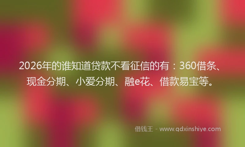 2026年的谁知道贷款不看征信的有：360借条、现金分期、小爱分期、融e花、借款易宝等。
