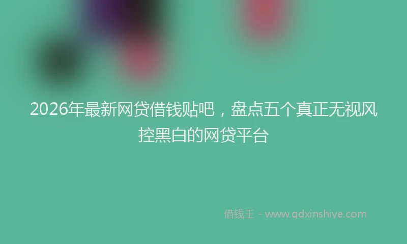 2026年最新网贷借钱贴吧，盘点五个真正无视风控黑白的网贷平台
