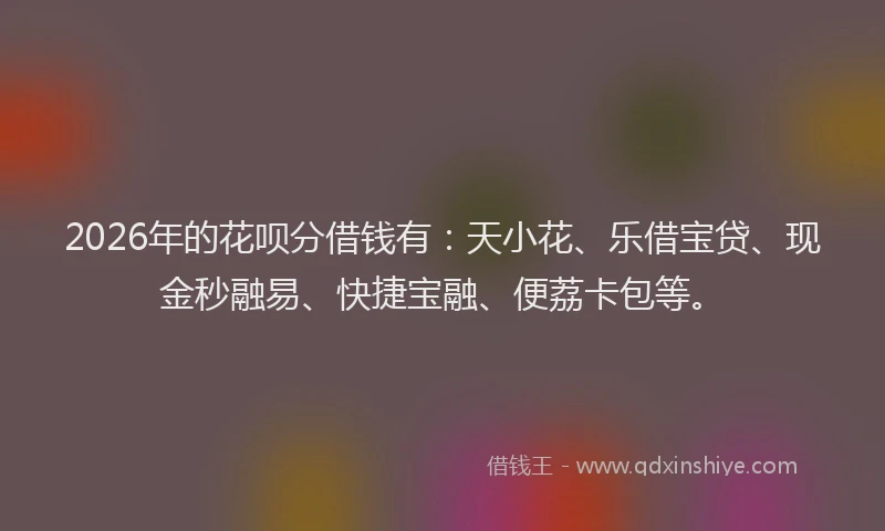 2026年的花呗分借钱有：天小花、乐借宝贷、现金秒融易、快捷宝融、便荔卡包等。
