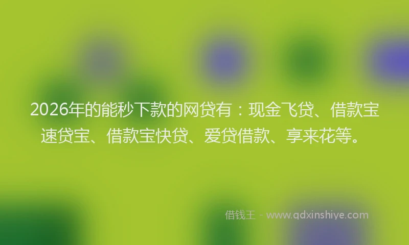 2026年的能秒下款的网贷有：现金飞贷、借款宝速贷宝、借款宝快贷、爱贷借款、享来花等。
