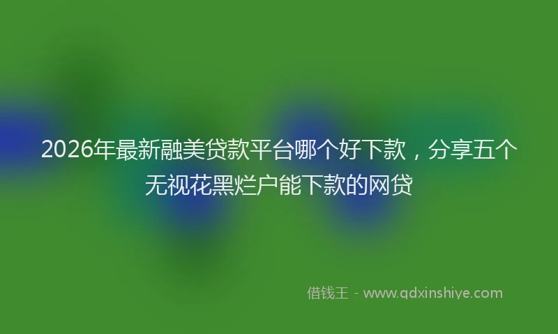 2026年最新融美贷款平台哪个好下款，分享五个无视花黑烂户能下款的网贷