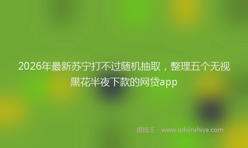 2026年最新苏宁打不过随机抽取，整理五个无视黑花半夜下款的网贷app