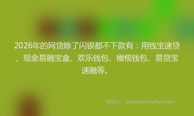 2026年的网贷除了闪银都不下款有：用钱宝速贷、现金易融宝盒、欢乐钱包、橄榄钱包、易贷宝速融等。