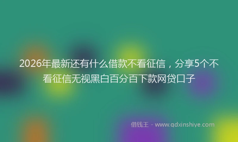 2026年最新还有什么借款不看征信，分享5个不看征信无视黑白百分百下款网贷口子