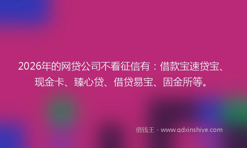 2026年的网贷公司不看征信有：借款宝速贷宝、现金卡、臻心贷、借贷易宝、固金所等。
