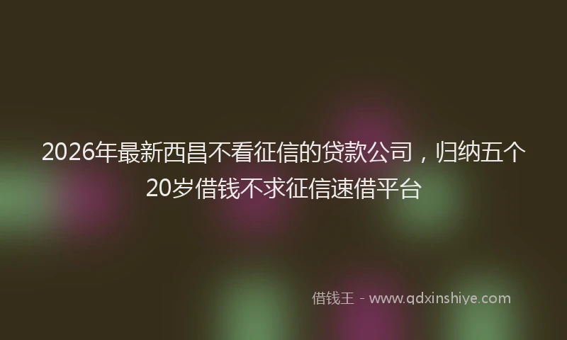2026年最新西昌不看征信的贷款公司，归纳五个20岁借钱不求征信速借平台