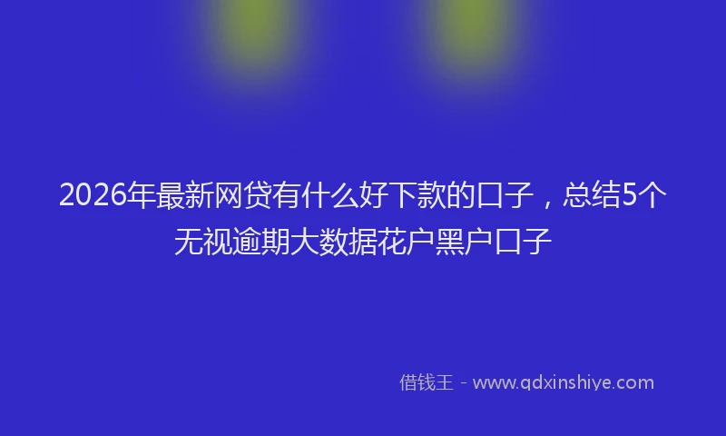 2026年最新网贷有什么好下款的口子，总结5个无视逾期大数据花户黑户口子